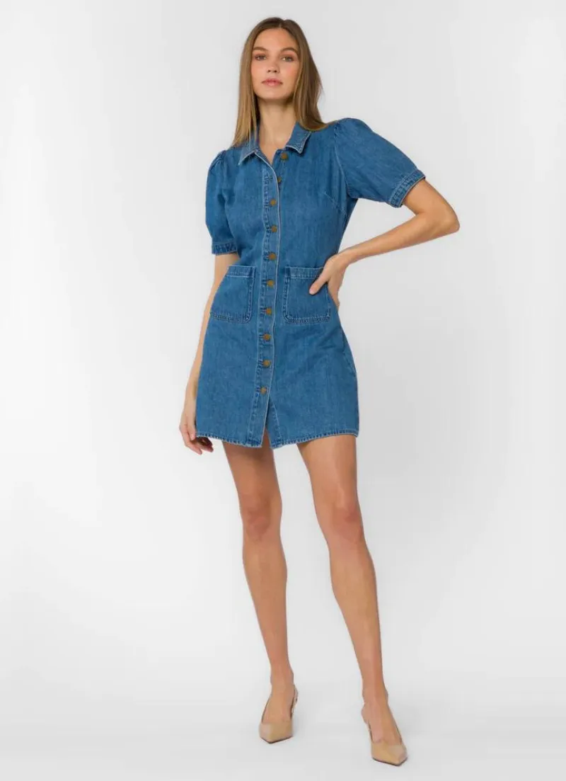 Alexia Denim Dress