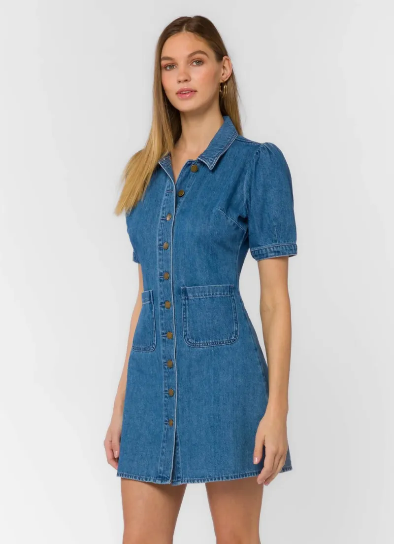 Alexia Denim Dress