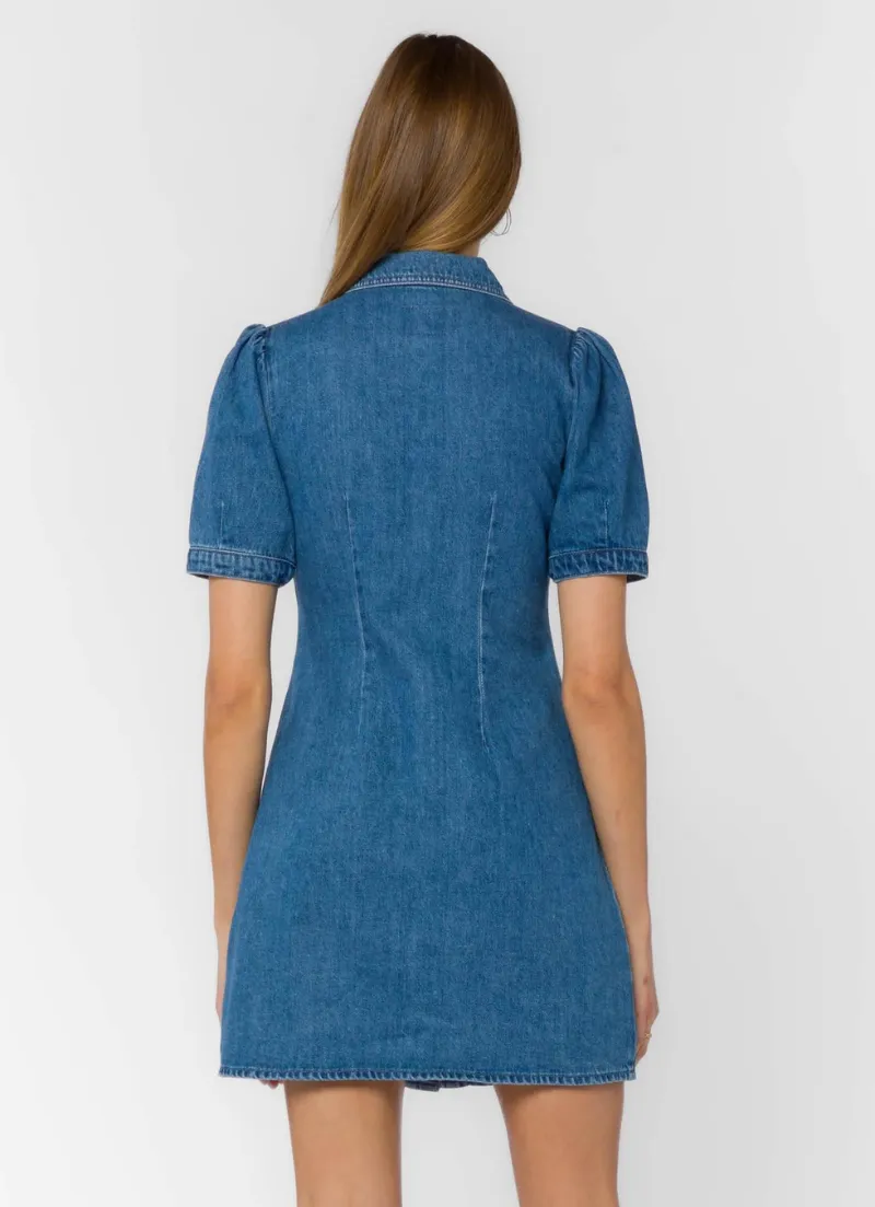 Alexia Denim Dress