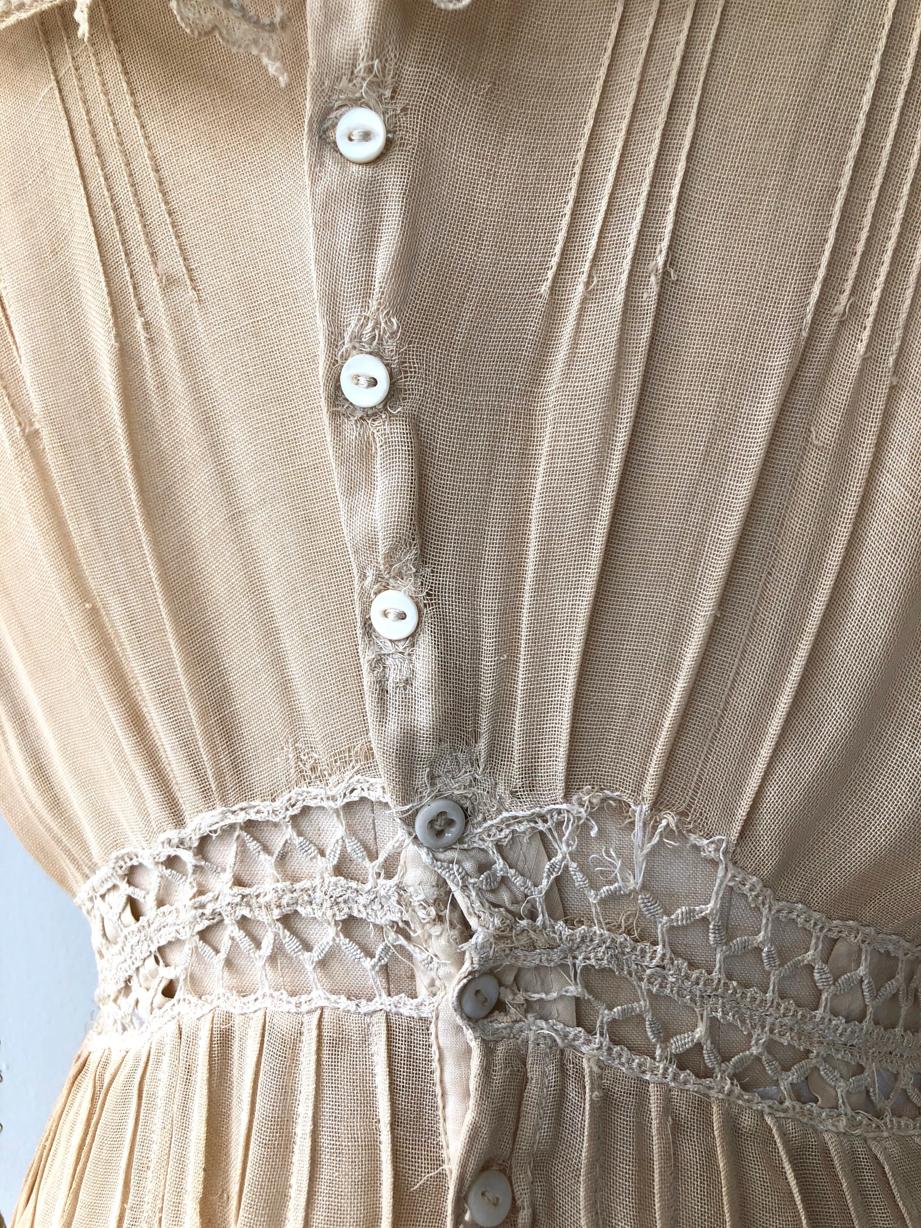 Laureate Edwardian Dress