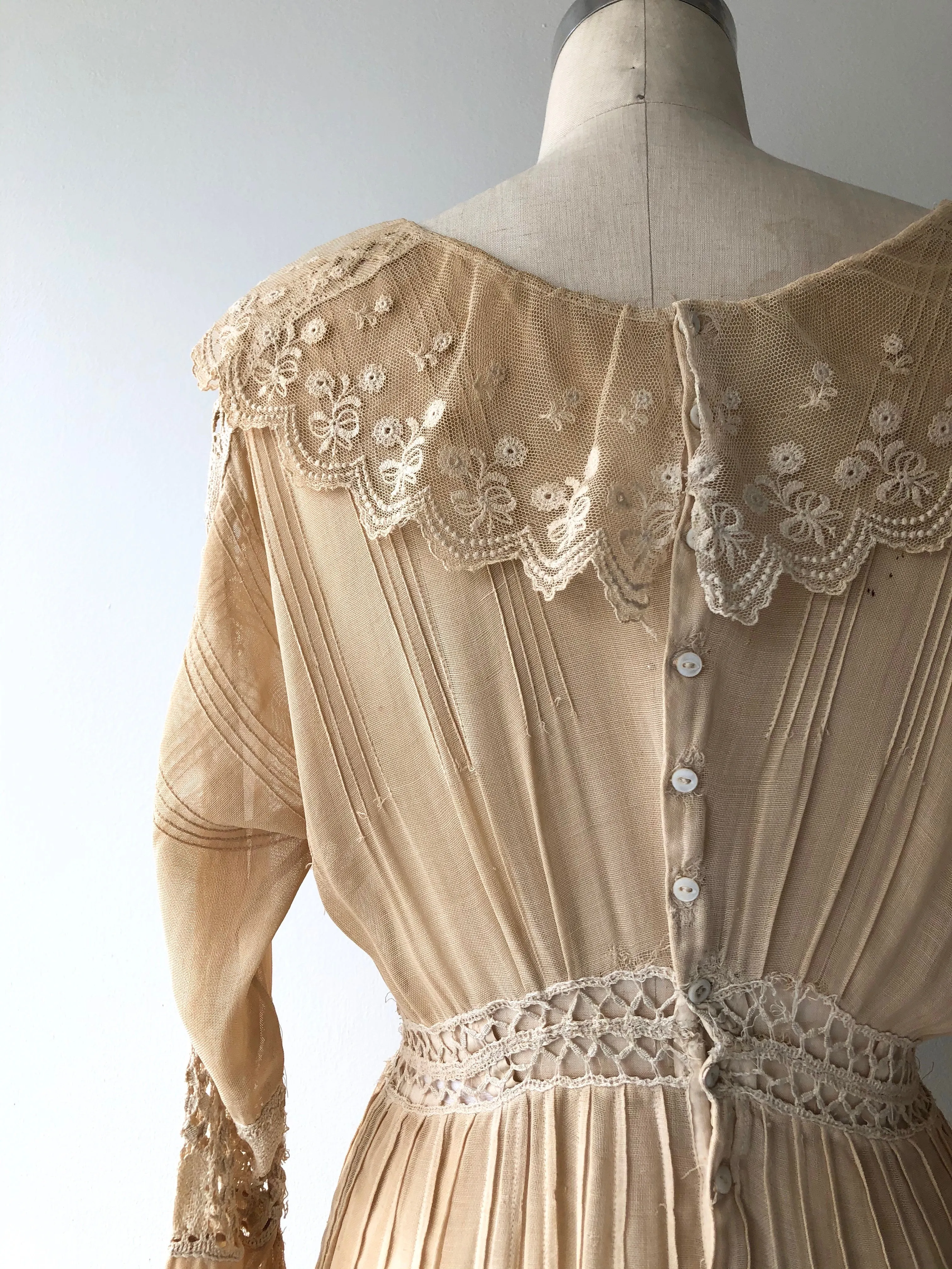 Laureate Edwardian Dress