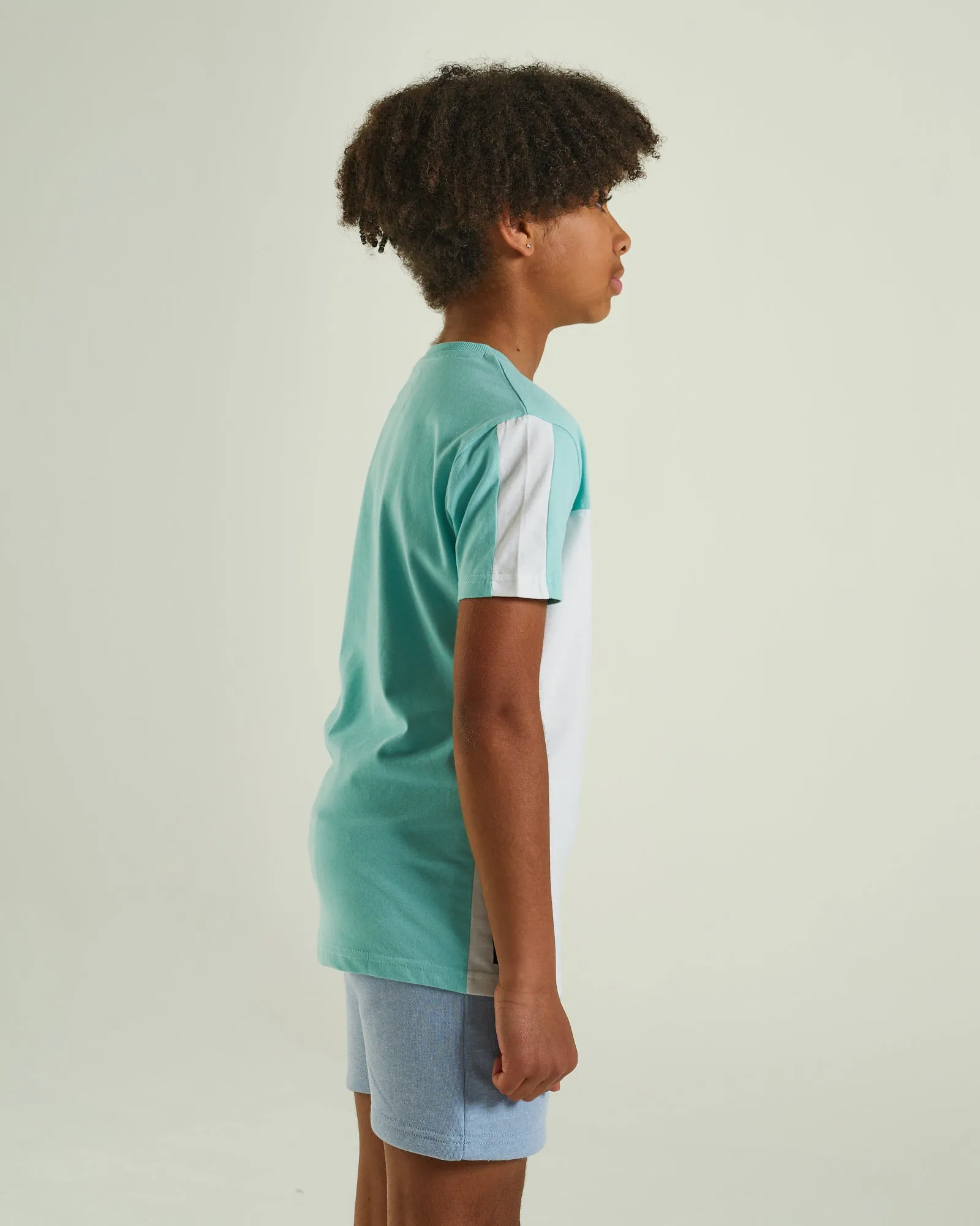 Noah Tee Mint